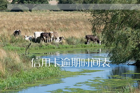 信用卡逾期时间表 信用卡逾期时间表