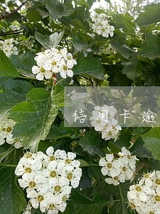 信用卡逾期时间计算方法 信用卡逾期时间计算方法