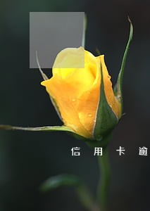 信用卡逾期时间过长作废了 信用卡逾期时间过长作废了