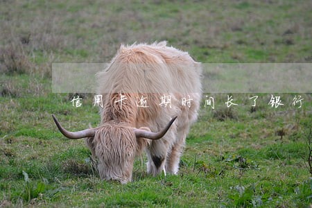 信用卡逾期时间长了银行会怎么办 信用卡逾期时间长了银行会怎么办