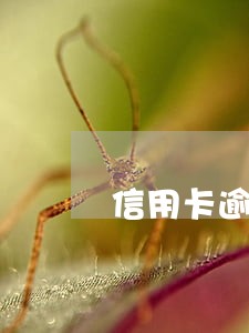 信用卡逾期时间长会怎样 信用卡逾期时间长会怎样