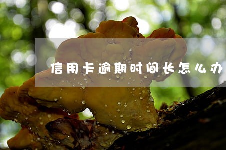 信用卡逾期时间长怎么办啊 信用卡逾期时间长怎么办啊