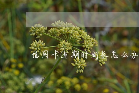 信用卡逾期时间长怎么办贷款 信用卡逾期时间长怎么办贷款
