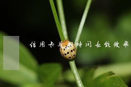 信用卡逾期时间长能做飞机吗 信用卡逾期时间长能做飞机吗