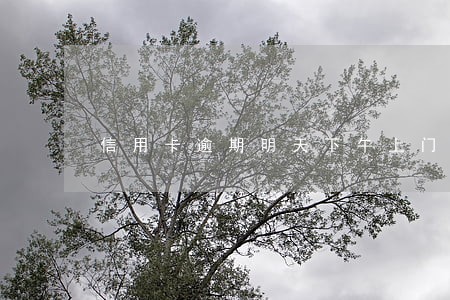 信用卡逾期明天下午上门 信用卡逾期明天下午上门
