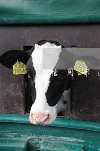 信用卡逾期明天要上门取证 信用卡逾期明天要上门取证