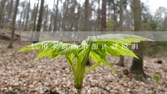 信用卡逾期明细还款说明 信用卡逾期明细还款说明