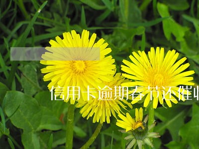 信用卡逾期春节还催收吗