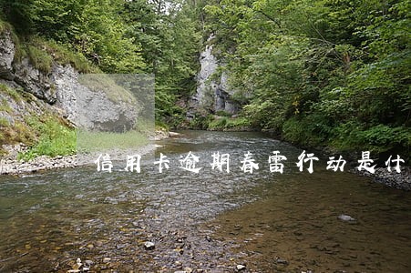 信用卡逾期春雷行动是什么 信用卡逾期春雷行动是什么