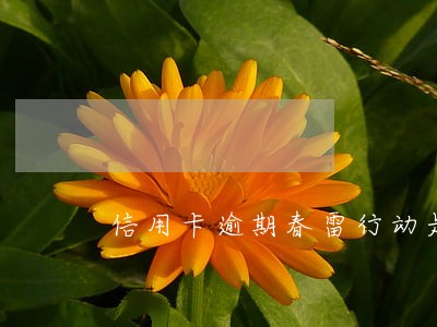 信用卡逾期春雷行动是真的吗 信用卡逾期春雷行动是真的吗