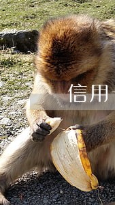 信用卡逾期是上法院才判刑吗 信用卡逾期是上法院才判刑吗