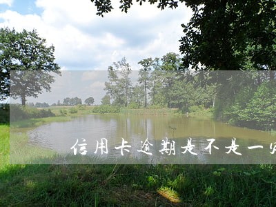 信用卡逾期是不是一定要全额还