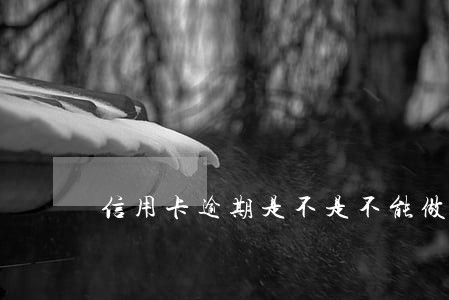 信用卡逾期是不是不能做飞机 信用卡逾期是不是不能做飞机