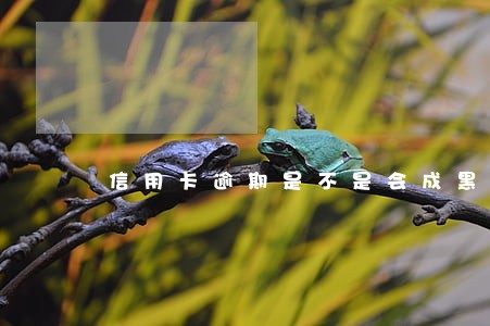信用卡逾期是不是会成黑名单
