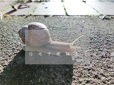 信用卡逾期是不是会被报警 信用卡逾期是不是会被报警