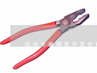 信用卡逾期是不是会被起诉