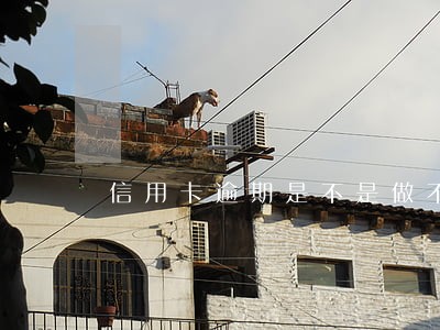 信用卡逾期是不是做不了高铁 信用卡逾期是不是做不了高铁