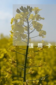 信用卡逾期是不是办不了深户 信用卡逾期是不是办不了深户