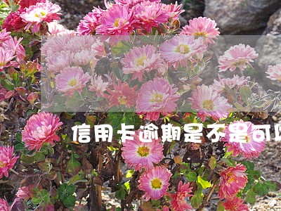 信用卡逾期是不是可以找到人 信用卡逾期是不是可以找到人