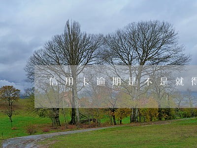 信用卡逾期是不是就得坐牢 信用卡逾期是不是就得坐牢