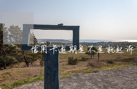 信用卡逾期是不是就起诉 信用卡逾期是不是就起诉
