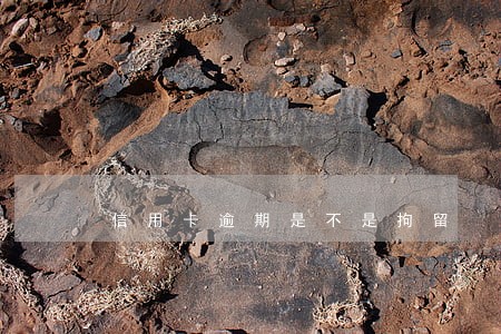信用卡逾期是不是拘留 信用卡逾期是不是拘留