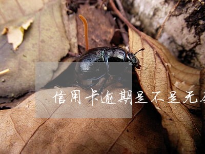 信用卡逾期是不是无奈 信用卡逾期是不是无奈