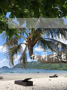 信用卡逾期是不是最后就还本金 信用卡逾期是不是最后就还本金