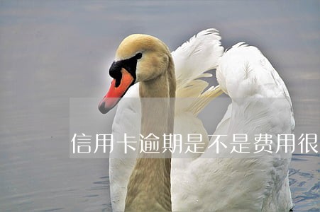 信用卡逾期是不是费用很高 信用卡逾期是不是费用很高