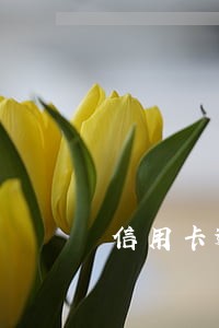 信用卡逾期是不是遭法院起诉 信用卡逾期是不是遭法院起诉