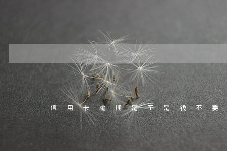 信用卡逾期是不是钱不要了 信用卡逾期是不是钱不要了