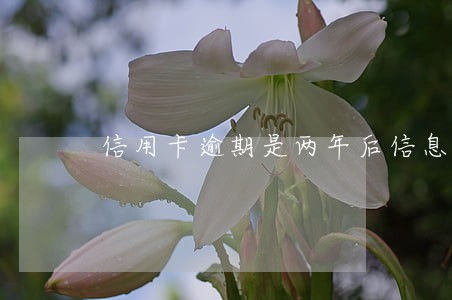 信用卡逾期是两年后信息消除吗 信用卡逾期是两年后信息消除吗