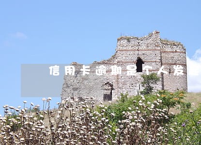 信用卡逾期是个人发起诉书吗 信用卡逾期是个人发起诉书吗