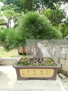 信用卡逾期是主动打电话 信用卡逾期是主动打电话