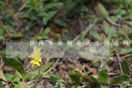 信用卡逾期是人生污点吗 信用卡逾期是人生污点吗