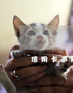 信用卡逾期是什么体验 信用卡逾期是什么体验