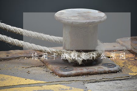 信用卡逾期是什么原因 信用卡逾期是什么原因