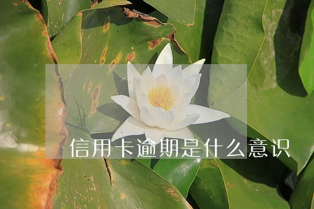 信用卡逾期是什么意识