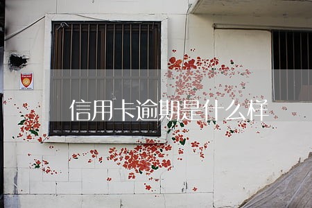 信用卡逾期是什么样 信用卡逾期是什么样