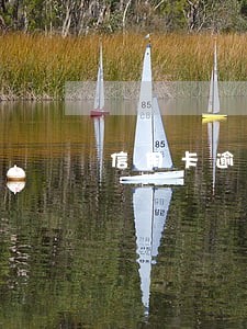 信用卡逾期是什么部门发信息