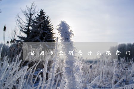 信用卡逾期是什么银行打电话 信用卡逾期是什么银行打电话