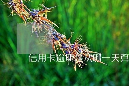 信用卡逾期是从哪一天算起 信用卡逾期是从哪一天算起