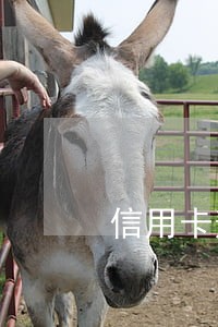 信用卡逾期是从哪天开始算利息 信用卡逾期是从哪天开始算利息