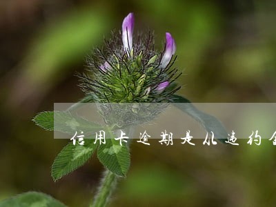 信用卡逾期是从违约金开始吗 信用卡逾期是从违约金开始吗