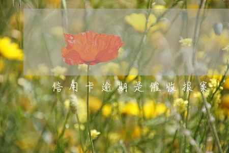 信用卡逾期是催收报案