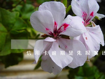 信用卡逾期是先报案还是起诉 信用卡逾期是先报案还是起诉