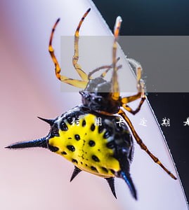 信用卡逾期是先谁协商