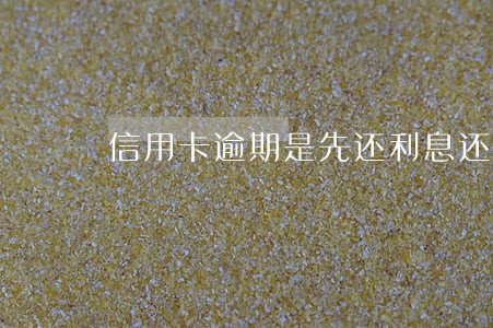 信用卡逾期是先还利息还是本金 信用卡逾期是先还利息还是本金