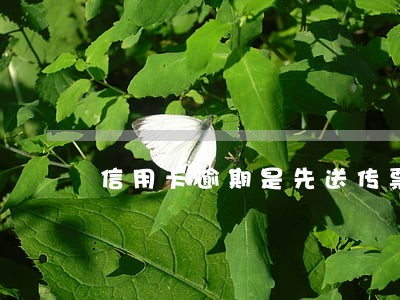 信用卡逾期是先送传票吗