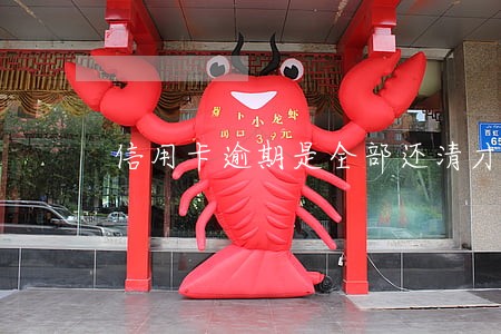 信用卡逾期是全部还清才能使用么 信用卡逾期是全部还清才能使用么